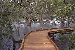 kerbed boardwalk nudgee beach.jpg